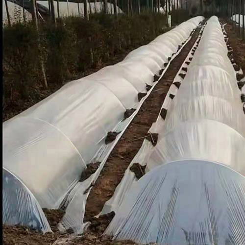 Fiberglass composites-050